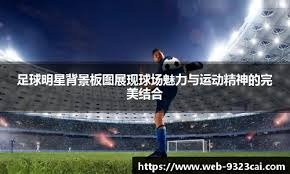 篮球CBA最具人气球员榜单更新